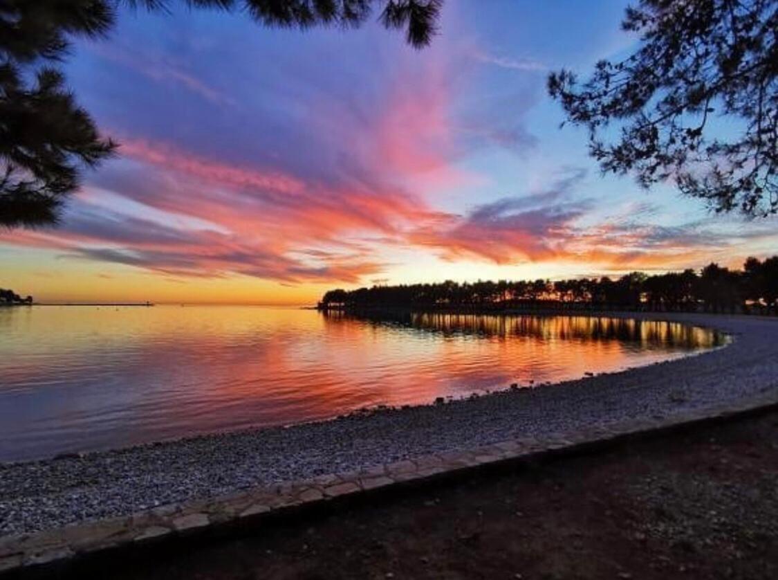 Corinne Garden Residence Novigrad Istria 외부 사진